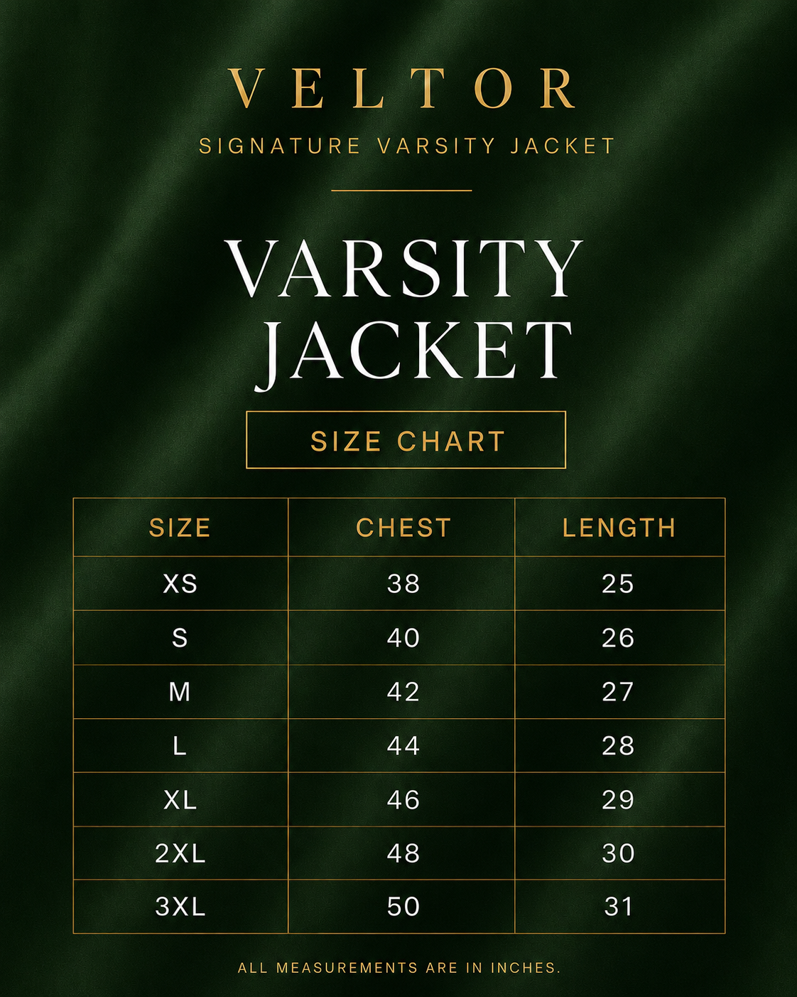 VELTOR Signature — Varsity Jacket
