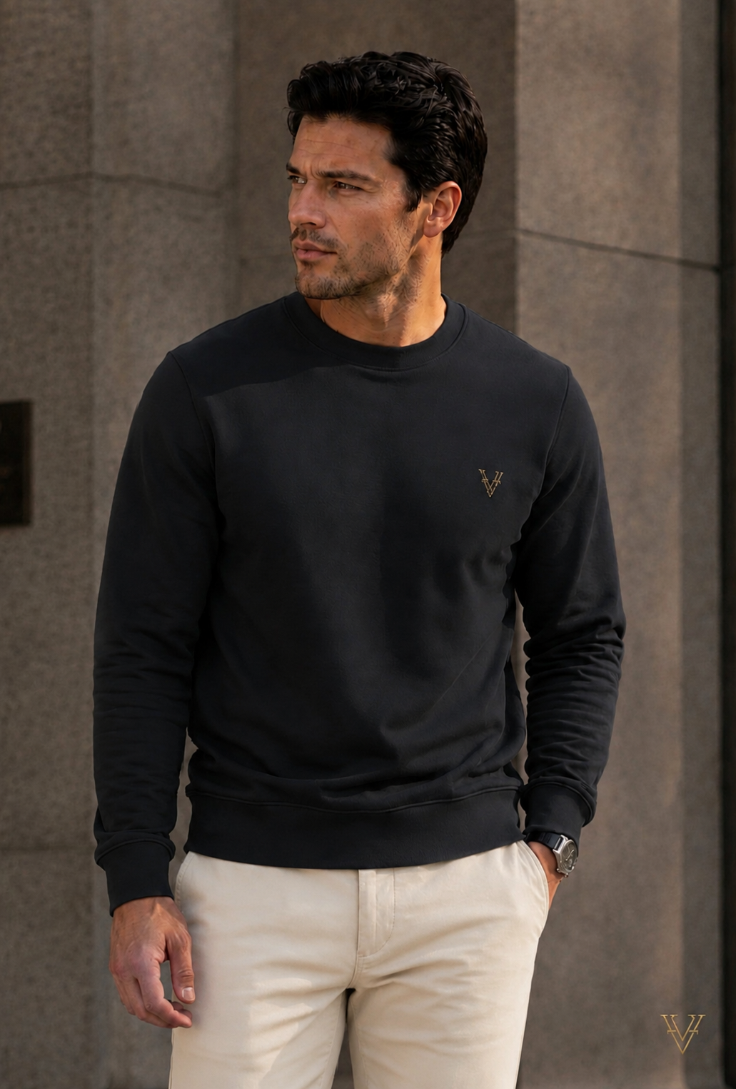 VELTOR Signature —  Premium Sweatshirt
